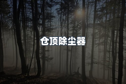 仓顶除尘器
